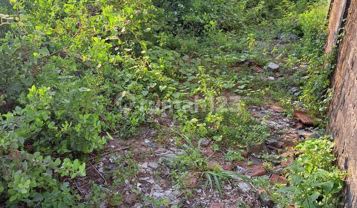 For Sale: Medokan Ayu Pond Land - Already Filled