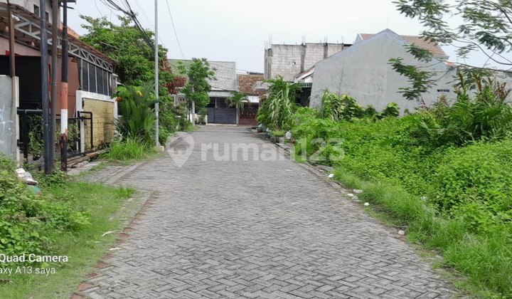 DIJUAL TANAH MEDOKAN SAWAH DIJUAL TANAH MEDOKAN SAWAH