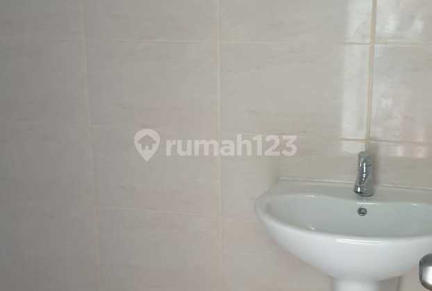 Disewa Royal Palm Blossom Siap Huni 2