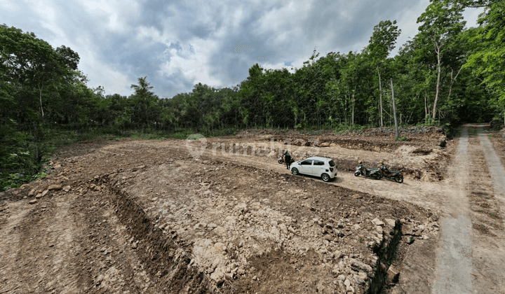 Tanah SHM, Lokasi Strategis Dekat UKDW Jogja 1