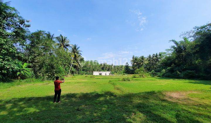 Dekat Pintu Tol Sentolo, Tanah cocok investasi dan Hunian 2