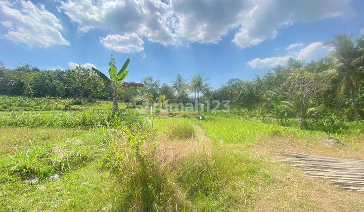 Area Wisata Jogja & Dekat Kampus UNY Wates Cocok invesi & Hunian 2