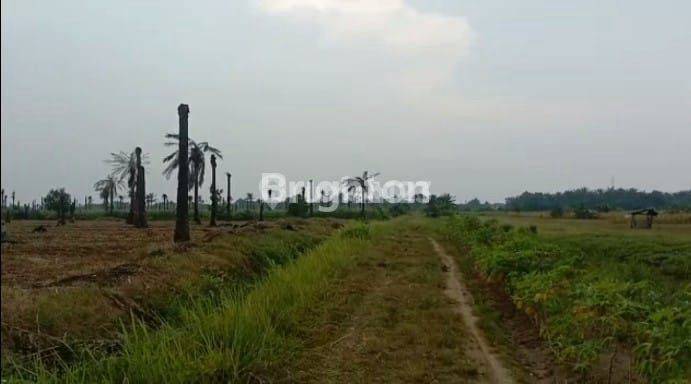 TANAH  40 Ha DAERAH DESA PERDAMAIAN STABAT 1