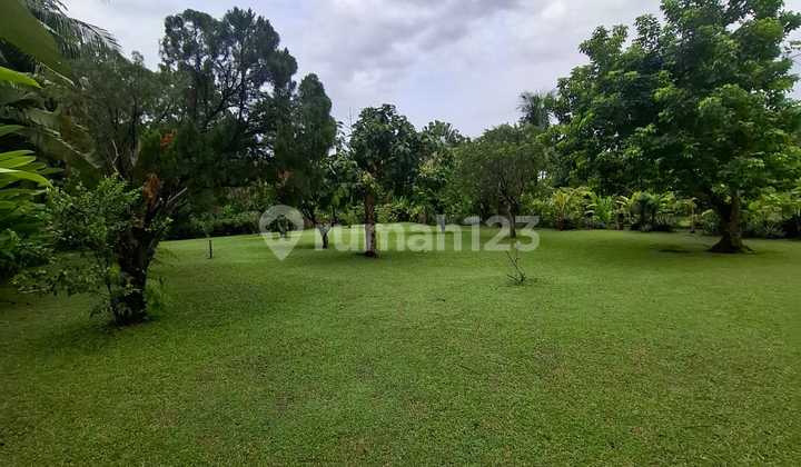 Tanah Dan Bangunan Dijln Lintas Sumatera