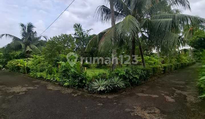 Tanah Dan Bangunan Dijln Lintas Sumatera