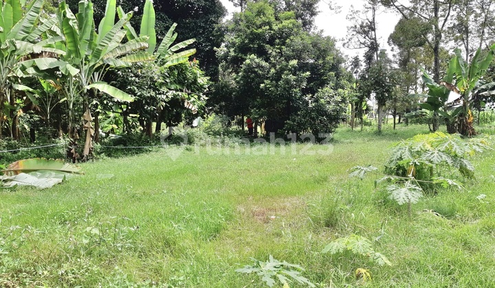 Tanah Pinggir Jalan Dipantai Cermin Serdang Bedagai Tanah Pinggir Jalan Dipantai Cermin Serdang Bedagai