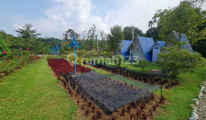 Land for Tourism Summer Holiday Farm Land for Tourism Summer Holiday Farm