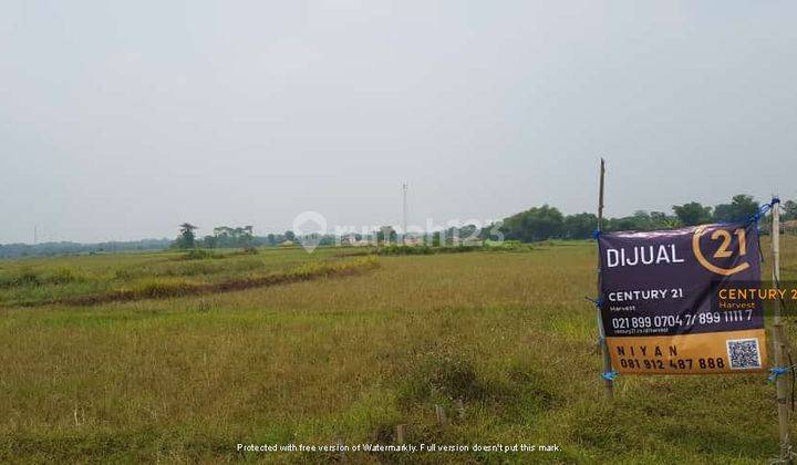 Tanah Strategis Siap Bangun Di Kp. Cijati wareng desa sirnajati 2