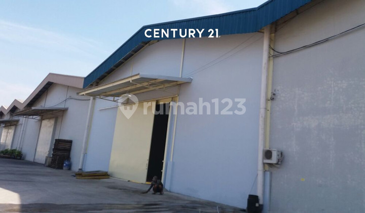 Gudang Strategis Siap Pakai Di Jl Hos Cokroaminoto Cikarang 