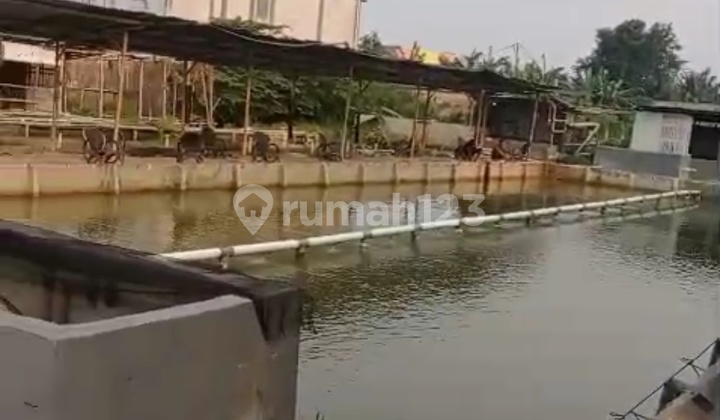 Tanah  Ada  Kontrakan Pemancingan Cocok Untuk Usaha 1