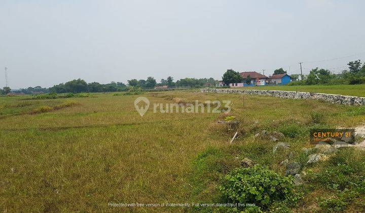 Tanah Strategis Siap Bangun Di Kp. Cijati wareng desa sirnajati 1