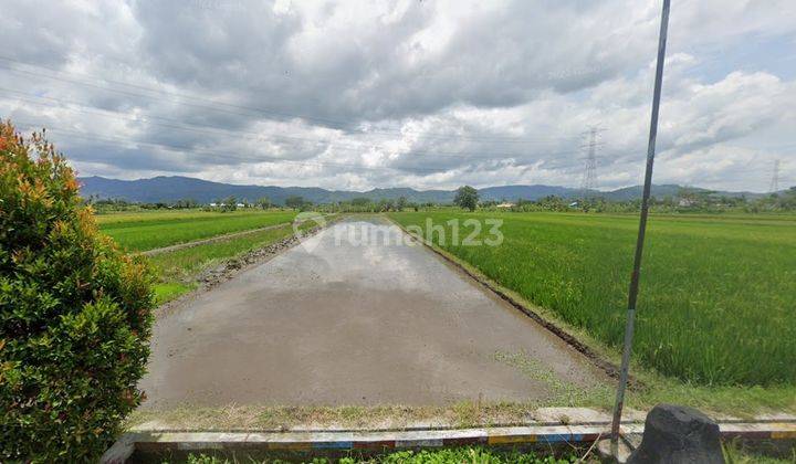 Tanah Sawah SHM Dekat Pemukiman Area Sukorejo Klaten 1