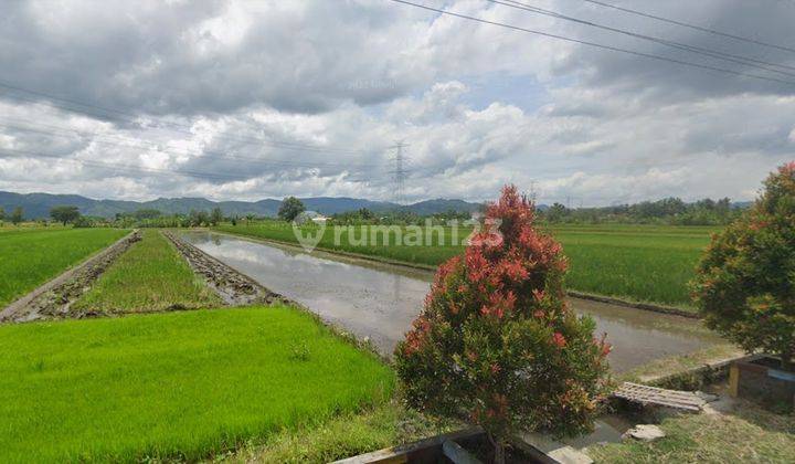 Tanah Sawah SHM Dekat Pemukiman Area Sukorejo Klaten 2