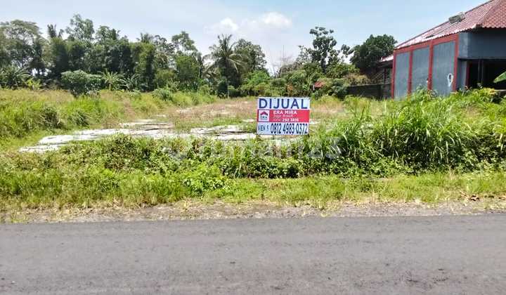 Tanah Sawah Tepi Jalan Area Mriyunan Ngaglik Sleman Tanah Sawah Tepi Jalan Area Mriyunan Ngaglik Sleman