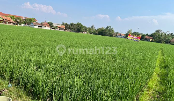 Dijual Tanah Kosong D Jl. Kepuh, Jatibaru , Jatiasih, Karawang 2