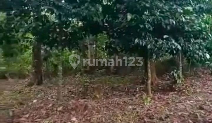 Dijual Tanah Daerah Subang