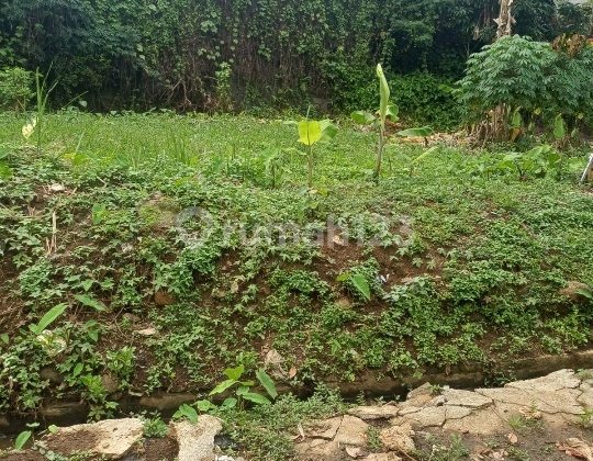 Dijual Kavling di Komplek Al Ciangsana Dijual Kavling di Komplek Al Ciangsana