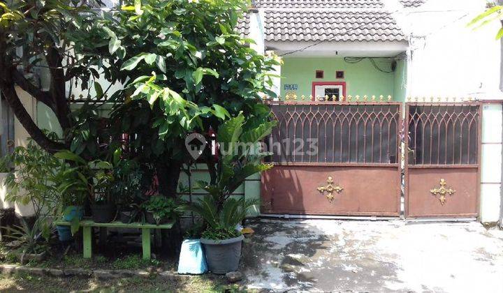 Rumah Bagus di Kota Baru Driyorejo, Gresik 1
