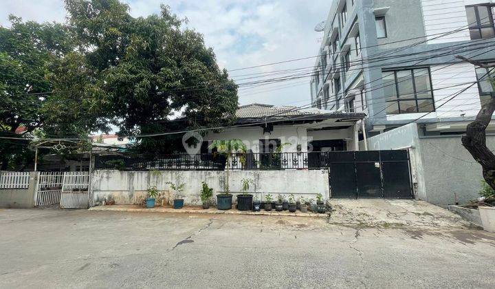 Rumah Tua 324 M2 Hitung Tanah Di Jalan Pluit Permai, Jakarta Utara 1