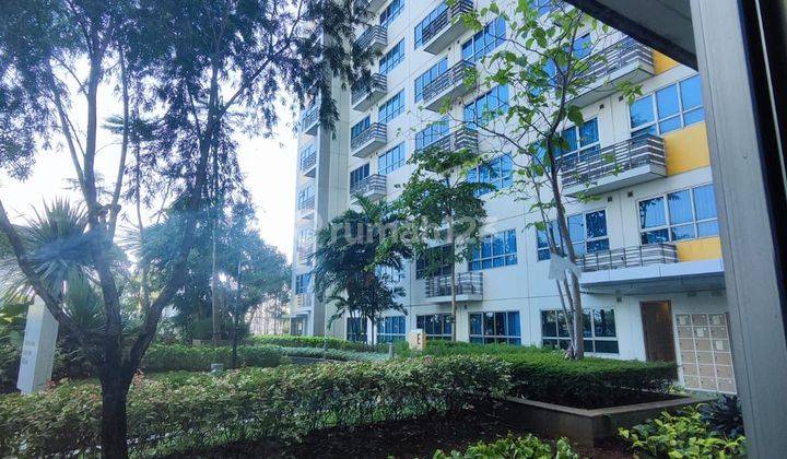 Disewakan Murah Tipe Studio Apartemen The Springlake View Tower Elodea 2