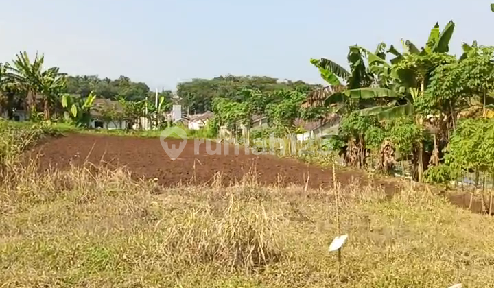 Large 3 Hectare Strategic Land in Ciseeng Large 3 Hectare Strategic Land in Ciseeng