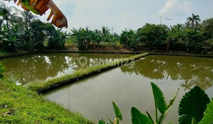 Empang Luas 4 Kolam dan Tanah Darat Pinggir Jalan di Rumpin 1