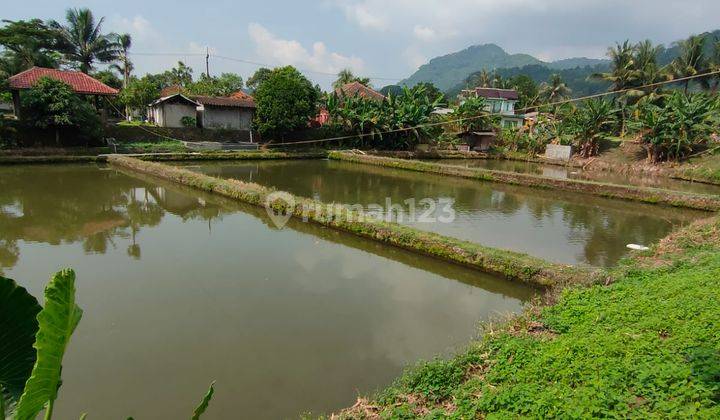 Empang Luas 4 Kolam dan Tanah Darat Pinggir Jalan di Rumpin 2