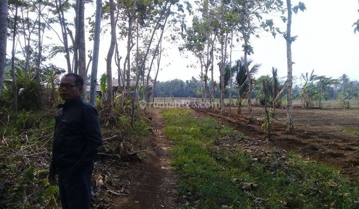 Tanah Luas 2,7 Hektar di Pinggir Jalan Surade Sukabumi 1