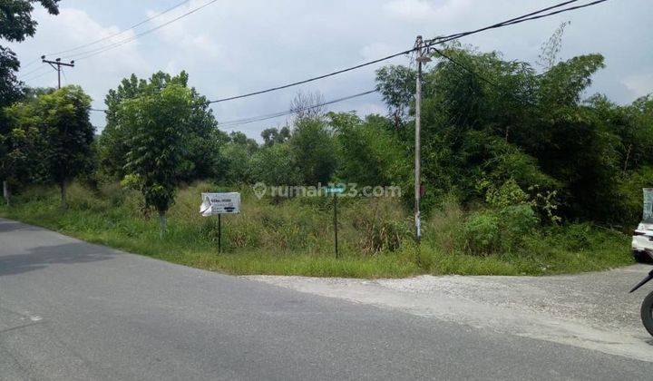 Tanah 2,4 Hektar Dekat Jalan Raya Dan Bandara Pekanbaru