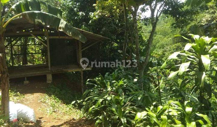 Tanah Luas 1 Hektar di Nagrak Kabupaten Sukabumi 1