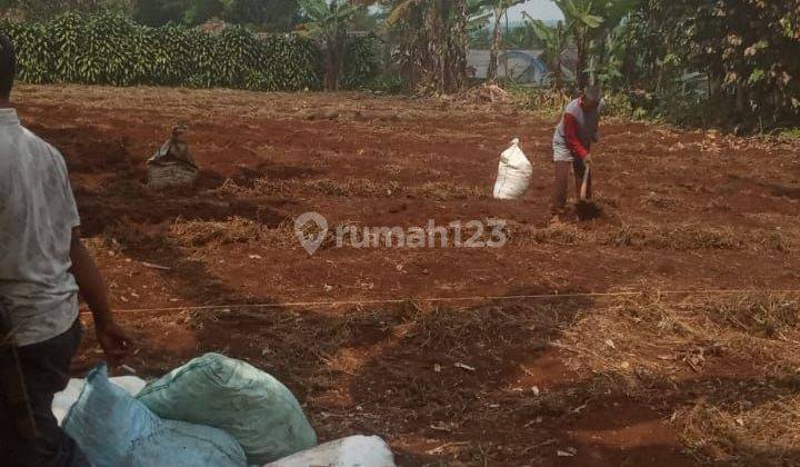 Tanah Luas Pinggi Jalan di Bojong Genteng Sukabumi 1