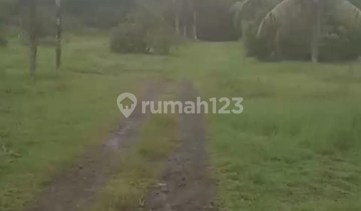 Tanah Luas 32 Hektar Strategis Daerah Bogor