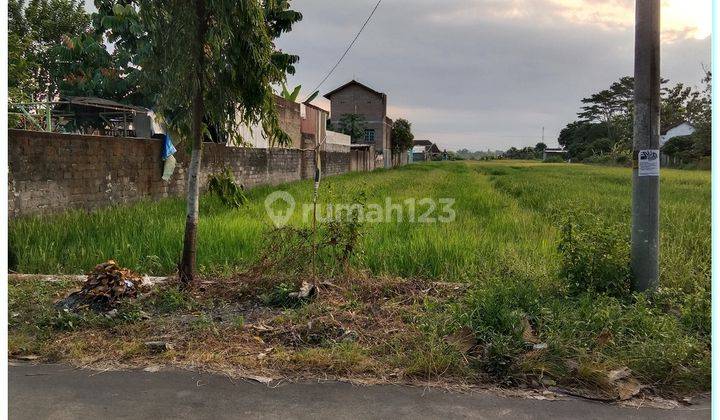 Tanah Kebonarum Klaten Luasan 1000an Tepi Jalan 1