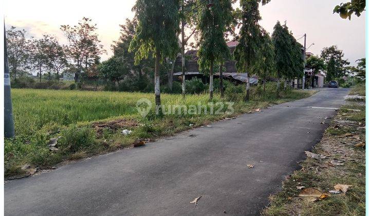 Tanah Kebonarum Klaten Luasan 1000an Tepi Jalan 2
