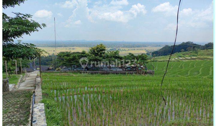 Tanah View Cantik Bukit Sawah SHM Per Unit, Jl. Pengasih Jogja 1