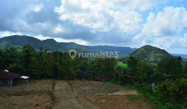Tanah View Cantik Bukit Sawah SHM Per Unit, Jl. Pengasih Jogja 2