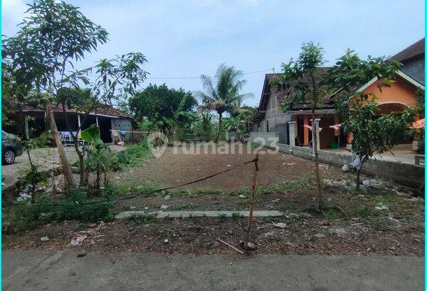 300 Meter Kawasan Industri Sentolo, Kavling Kost Karyawan 2