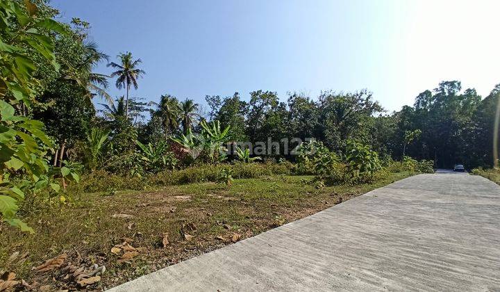 Tanah Jogja Barat Dekat Polsek Panjatan, 6 Menit Sman 2 Wates 2