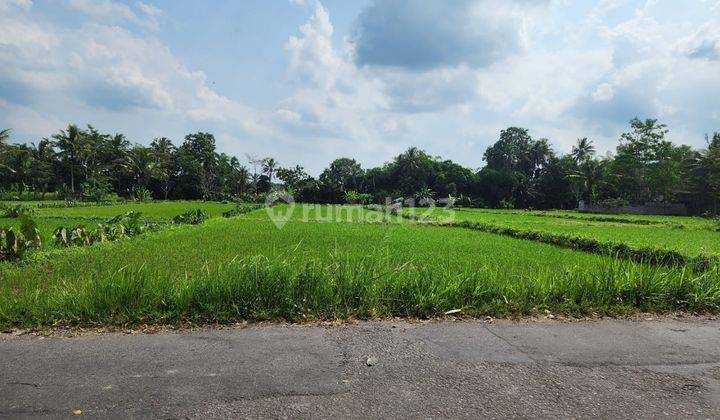 Tanah Sleman 7 Menit Kampus Uii Yogyakarta 2