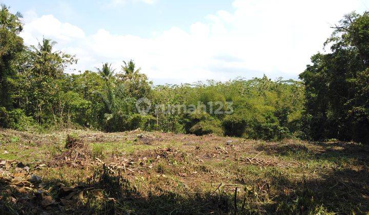 Tanah Siap Bangun Area Moyudan Sleman, Sudah Pecah Bidang 2