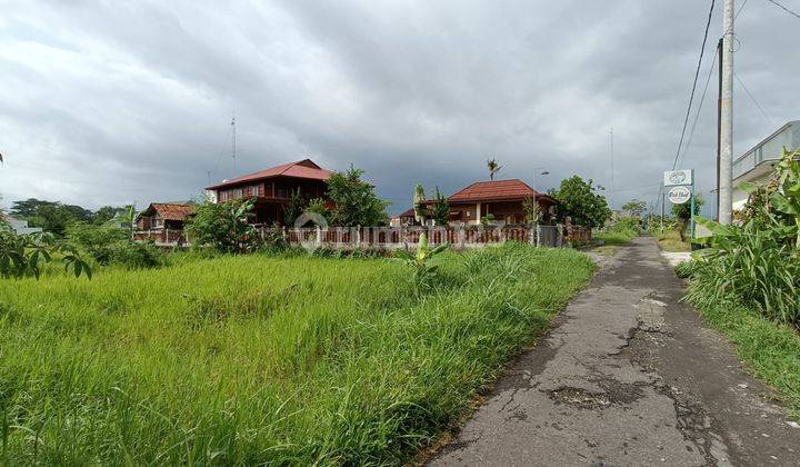 Tanah Jogja, Cocok Untuk Hunian Atau Homestay 2