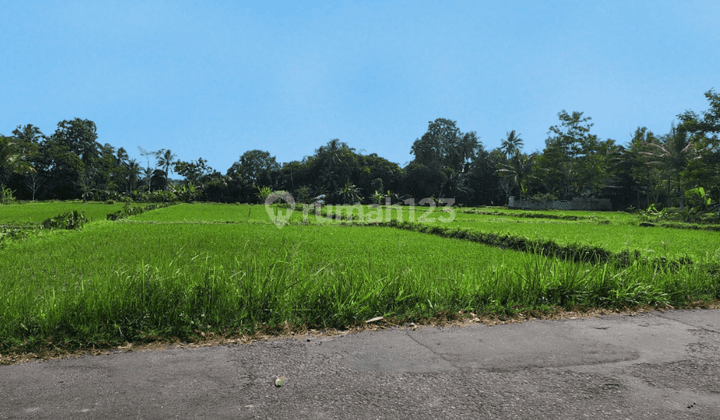 Tanah Sleman Dekat Fasilitas Kampus UII, SHM 2