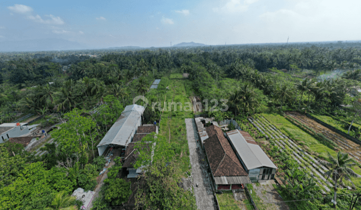 Tanah Jogja Tepi Jalan Dekat Pasar Tempel 2