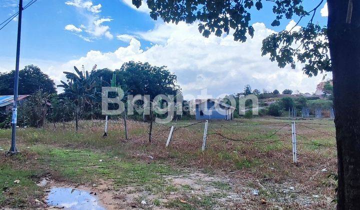 Kavling. Lahan 3.000 m2.  Sekupang. Batam. Pinggir Jalan. 1