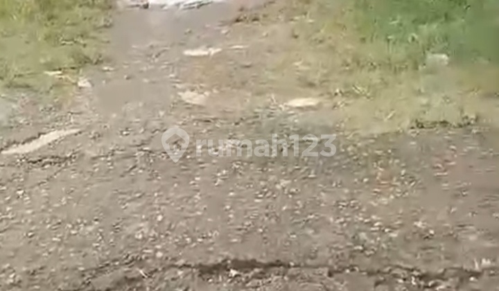 Dijual Lahan Cocok Untuk Perumahan Dijual Lahan Cocok Untuk Perumahan