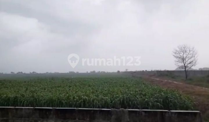 Land ready to build.