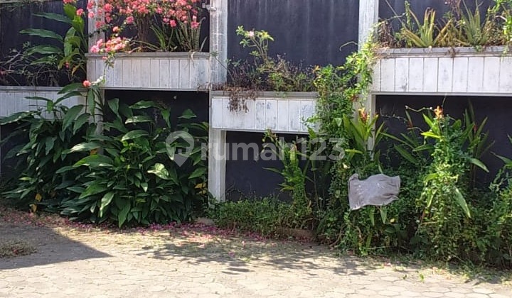 Rumah Besar Cocok untuk Usaha di Jl Beringin Semarang Tengah 1