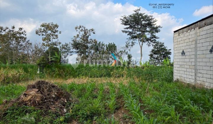 Tanah Kavling Di Jalan Jeruk, Oro-Oro Ombo Batu 1