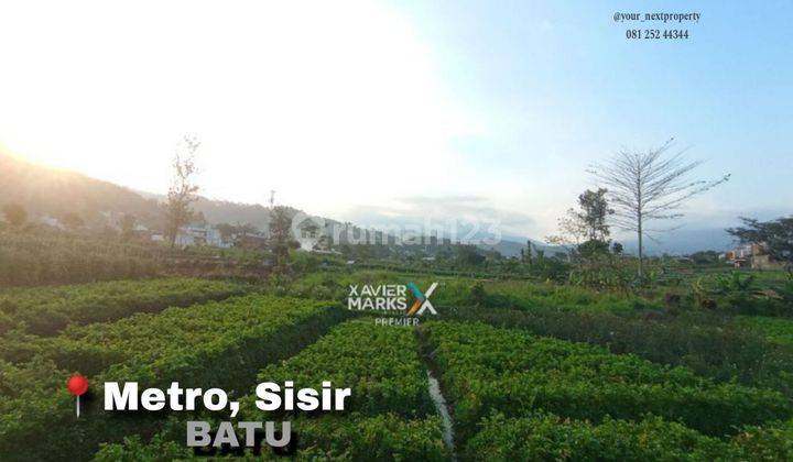 Tanah Kebun Murah Dan Luas Sangat Asri Di Metro Sisir Batu Dn1100 1