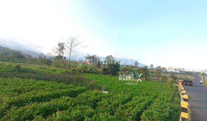 Tanah Kebun Murah Dan Luas Sangat Asri Di Metro Sisir Batu Dn1100 2